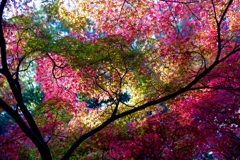 Colorfully! 　@岡崎東公園