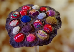 ハスの花托のアクセサリー　＠デンパーク