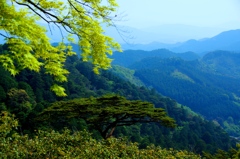 鳳来寺山からのながめ