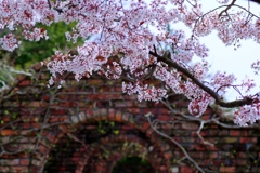 続秘密の花園