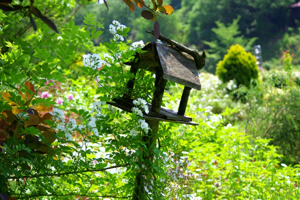 ターシャチューダの庭＃１　傾いた鳥餌台　＠花フェ