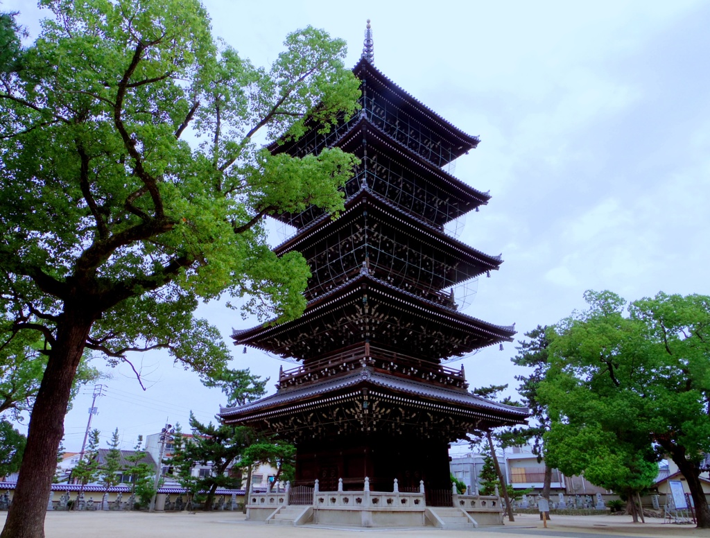 四国88箇所巡りﾃﾞﾋﾞｭｰ#75　善通寺