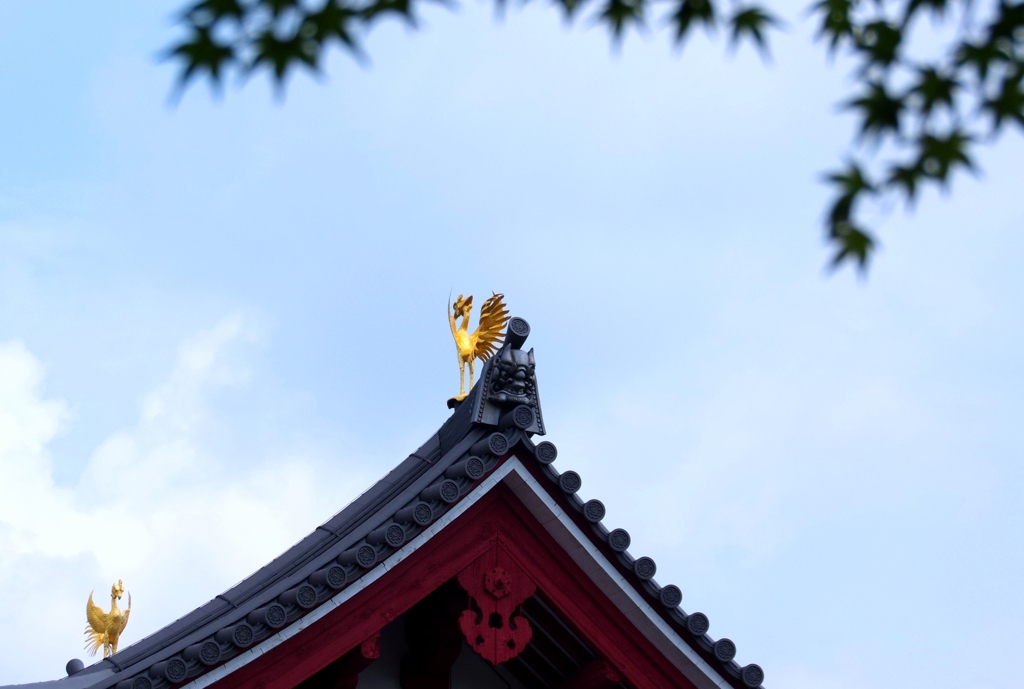 鳳という雄と凰という雌　＠三都物語（京都編）