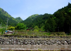 四谷　千枚田　NO.1000~997