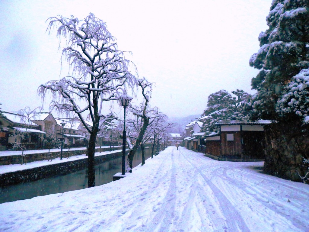 雪・柳　＠倉敷美観地区