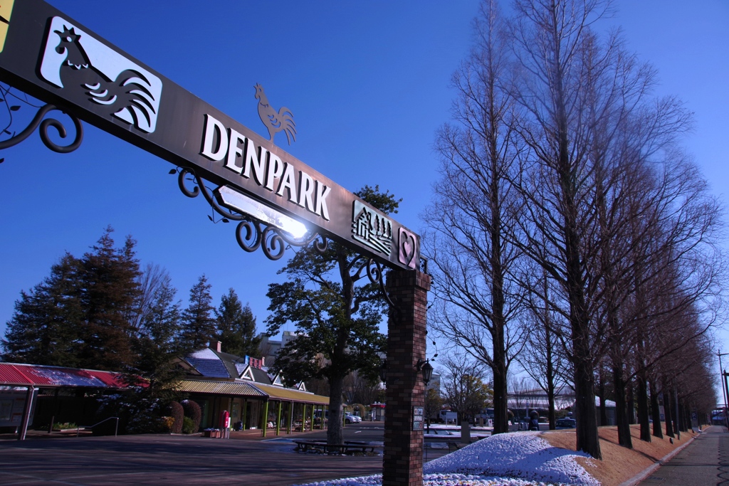 初積雪　＠DENPARK