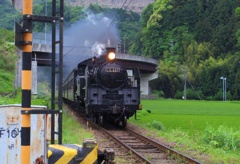 やっと来た~　＠大井川鉄道