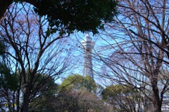 のんびりとした空間で＃１　＠天王寺