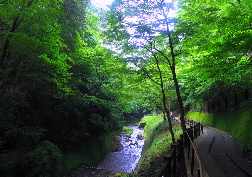 癒しの空間　＠養老の滝の帰路