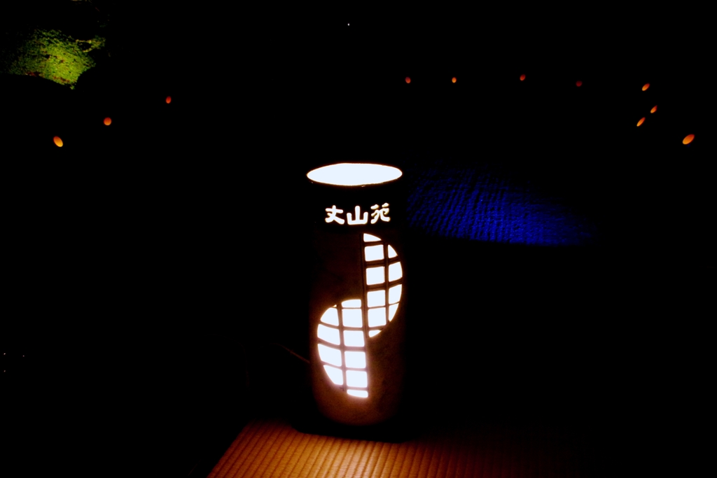 丈山苑ﾗｲﾄｱｯﾌﾟ＃１