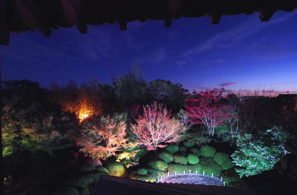 夕暮の丈山苑のライトアップ