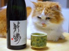 続家飲み#9　　猫君と