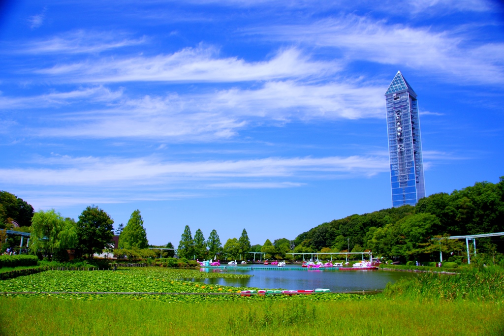 快晴の東山動植物園