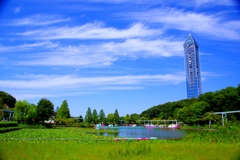 快晴の東山動植物園
