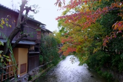 京の秋風情　＠祇園