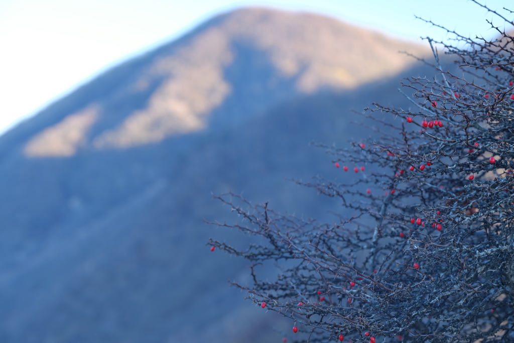 ひっそりとそして次へ