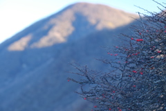 ひっそりとそして次へ