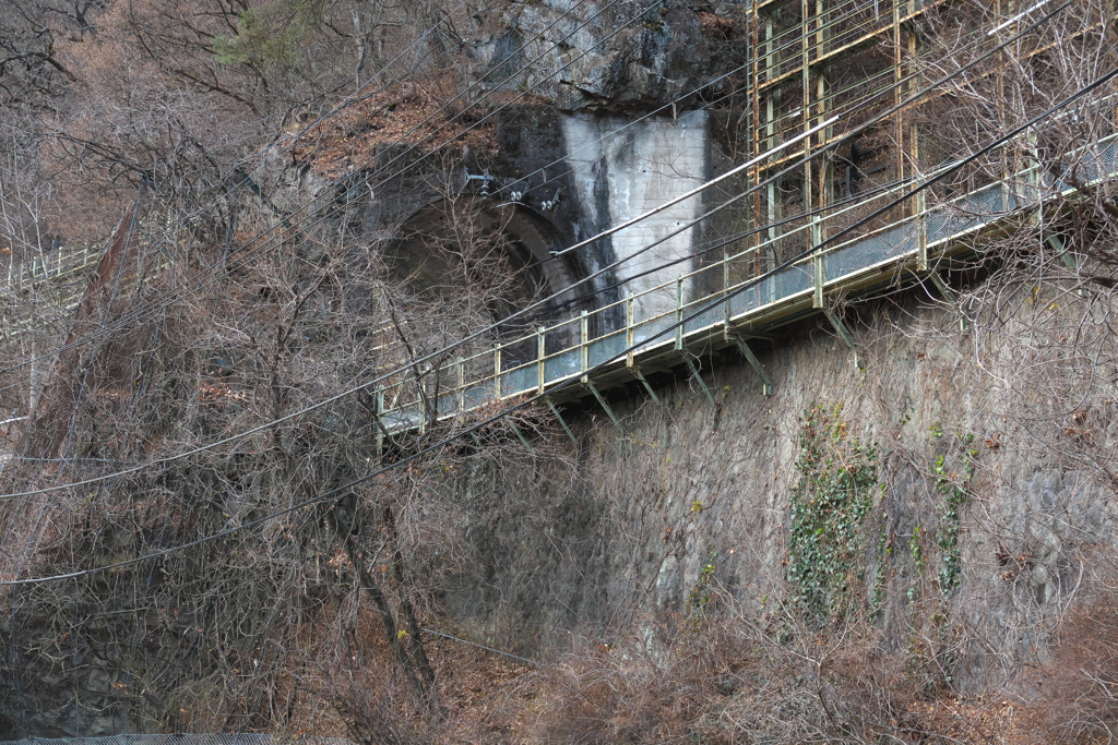 変わりゆく故郷　”廃線トンネル”「日本一短いトンネル」