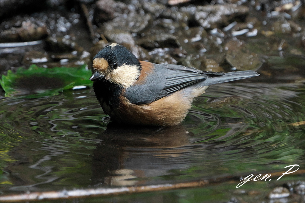 半径１０ｍの出会い③