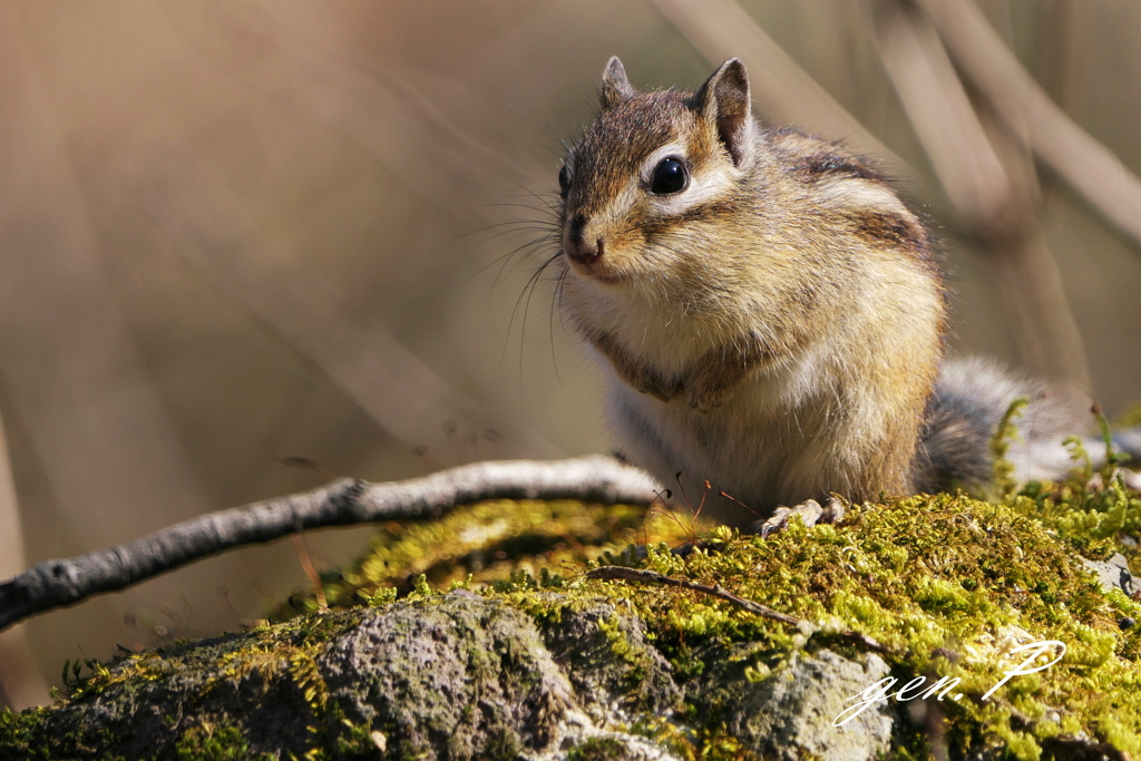 元気がなにより。