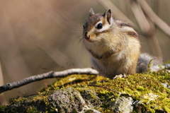 元気がなにより。