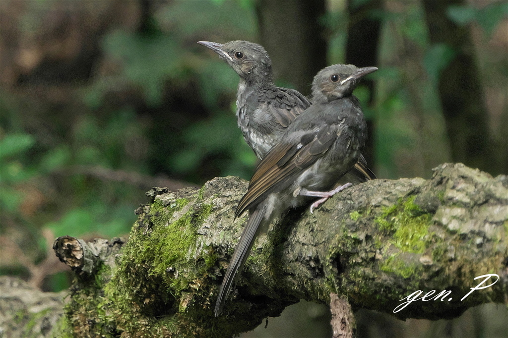 半径１０ｍの出会い➁