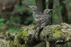 半径１０ｍの出会い➁