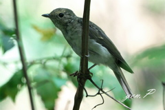 半径１０ｍの出会い➅