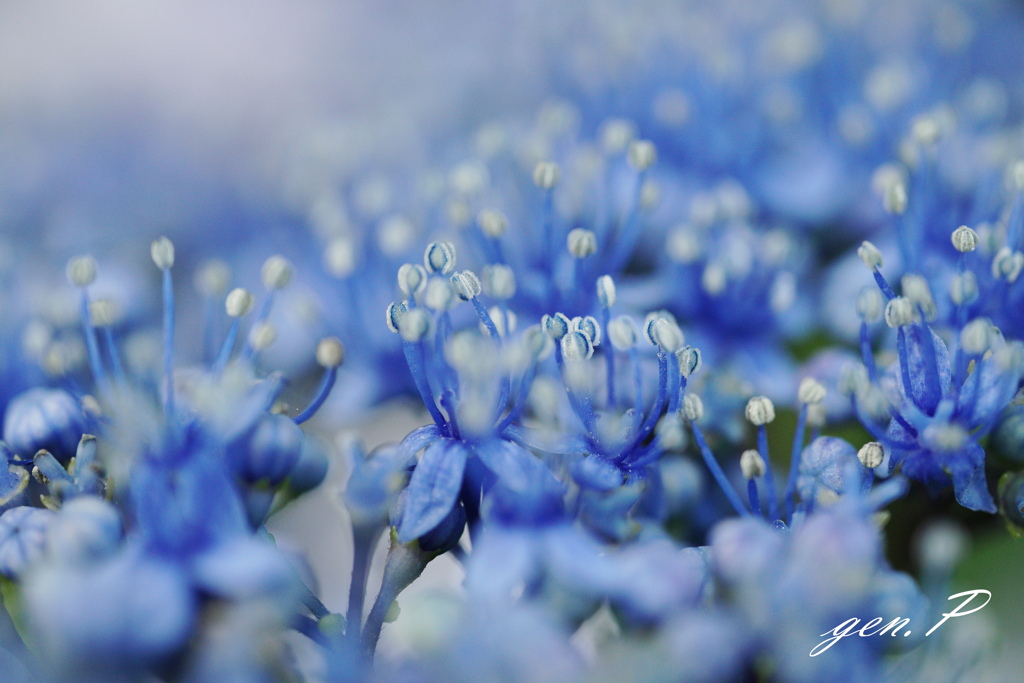 それぞれの主張