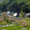 きっと来る、必ず