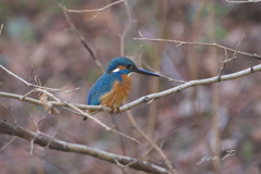 smallpark　出会い１