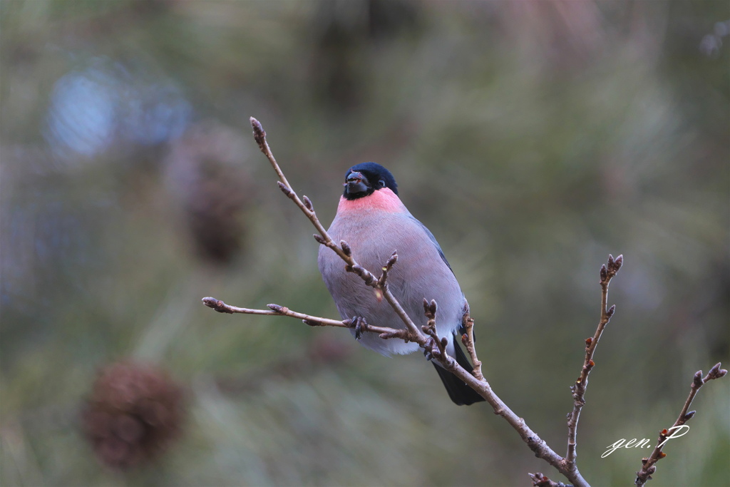 昨日より今日…２