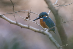 smallpark　出会い2