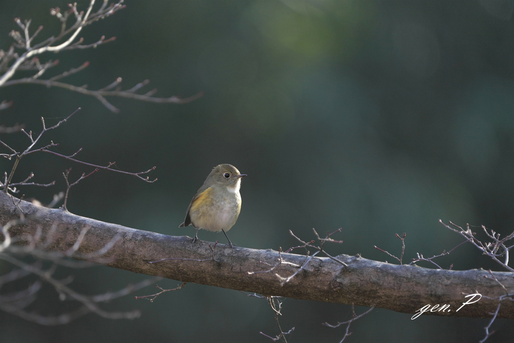やさしい気持ちに