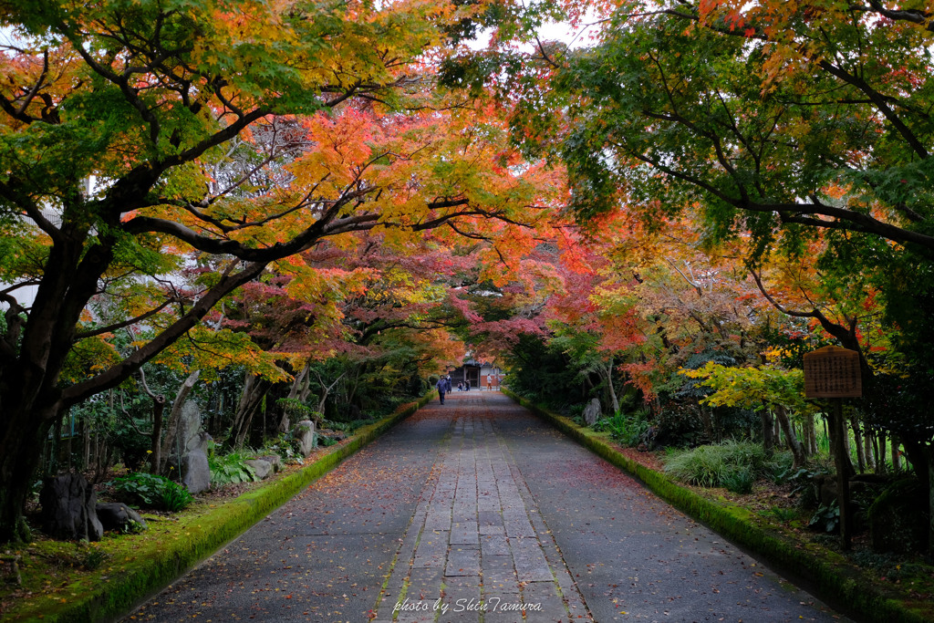 龍福寺