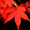 紅と黒