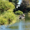 静かな庭園
