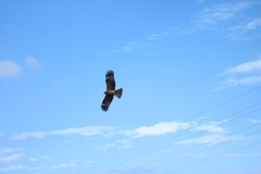 空をとぶ