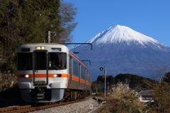 身延線313系と富士山