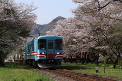 樽見鉄道　谷汲口～神海