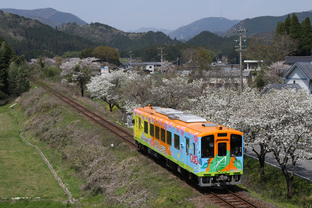 樽見鉄道　谷汲口～木知原