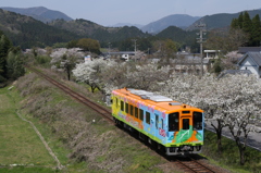 樽見鉄道　谷汲口～木知原
