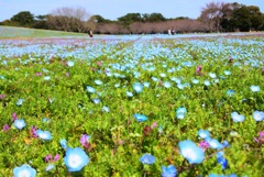 福岡 海の中道海浜公園