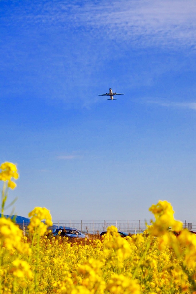 福岡空港