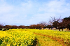 福岡海の中道海浜公園