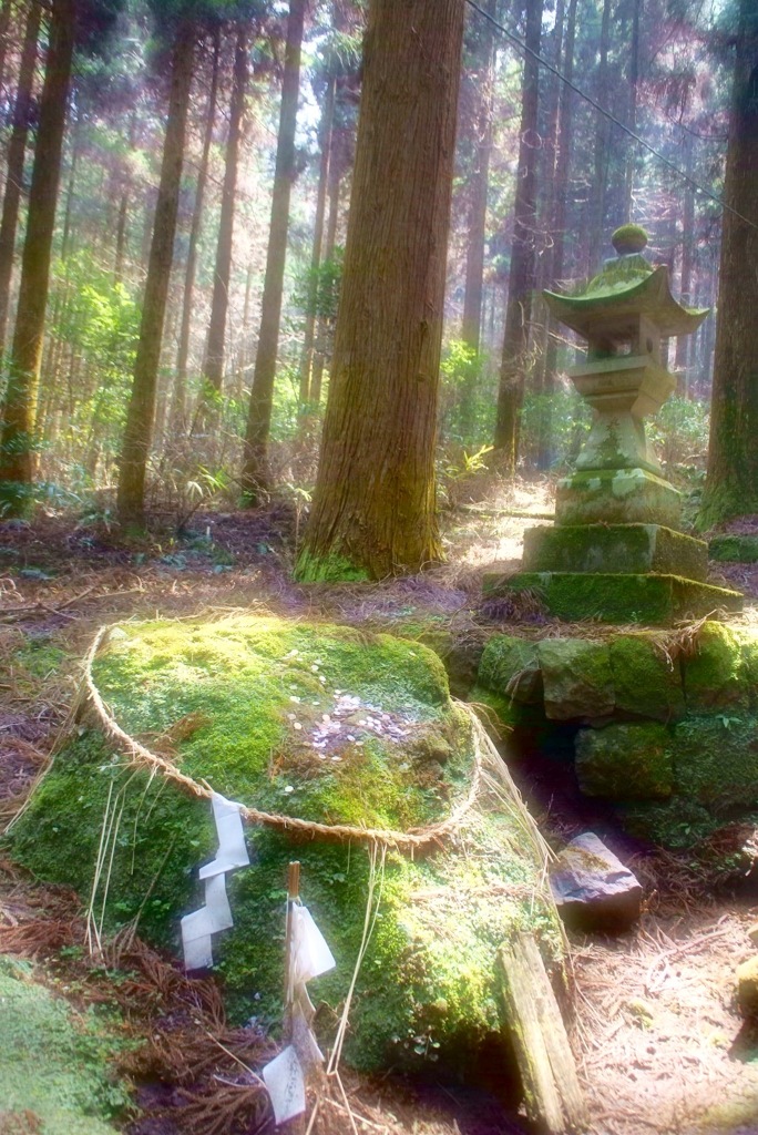 上色見熊野坐神社