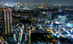 Tokyo Night View