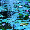 水面には･･･