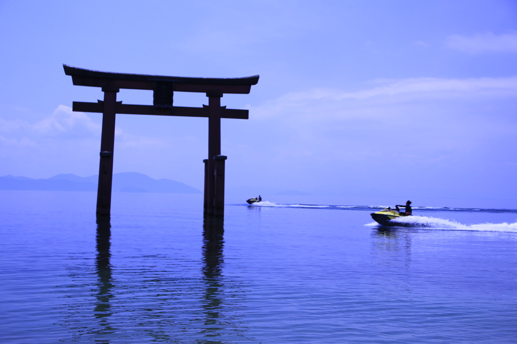 秩序