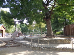 公園の景色。